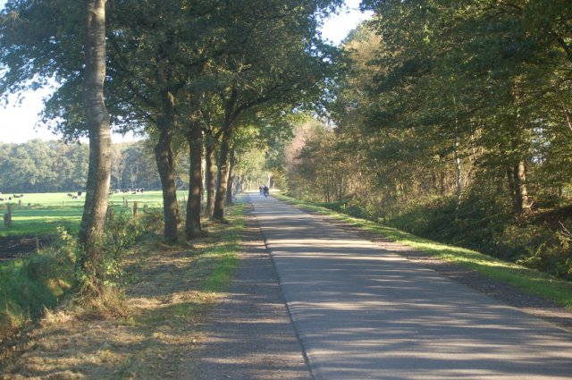 fotos okt.2011 063 custom